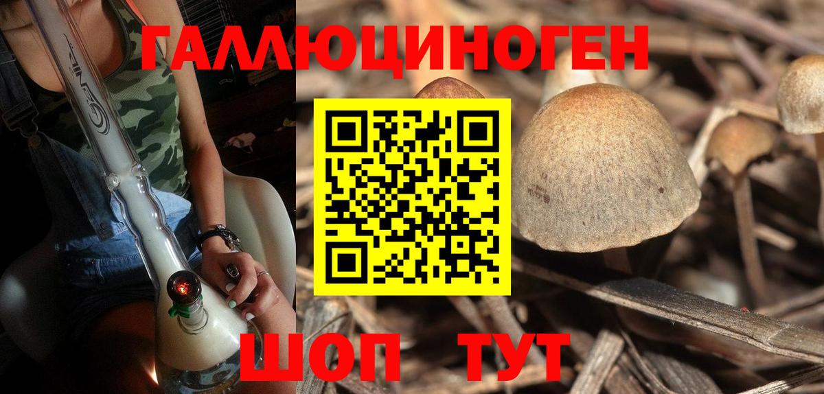Мурманск  Галлюциногенные грибы мицелий  Вход с VPN  Галлюциногенные грибы Psilocybe 