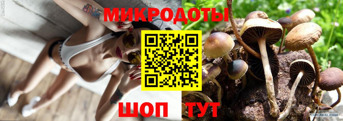 Галлюциногенные грибы MAGIC MUSHROOMS Мурманск
