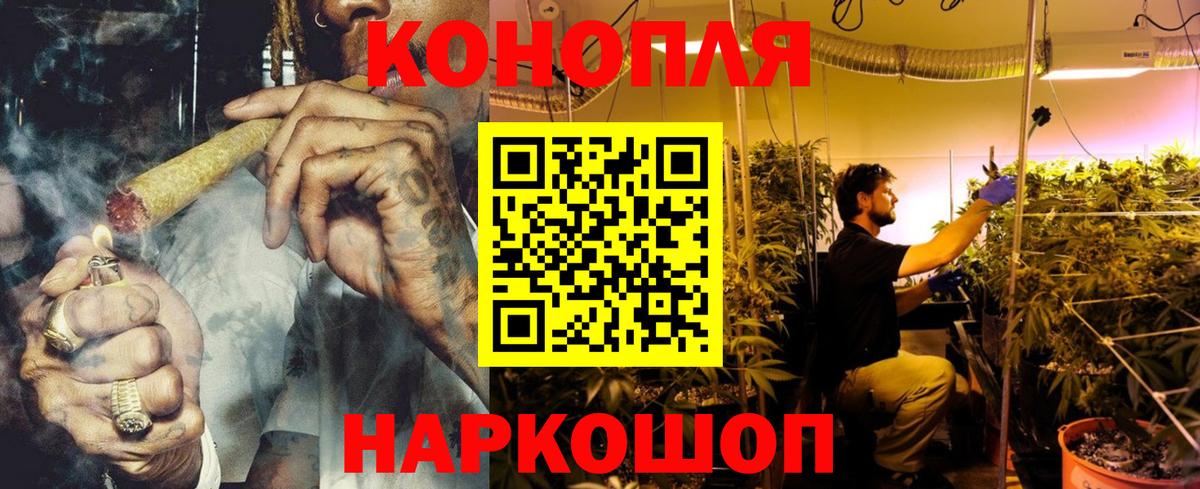 Бошки Шишки конопля Мурманск